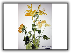 Lelies & Chrysanten