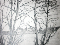 Winterlandschap